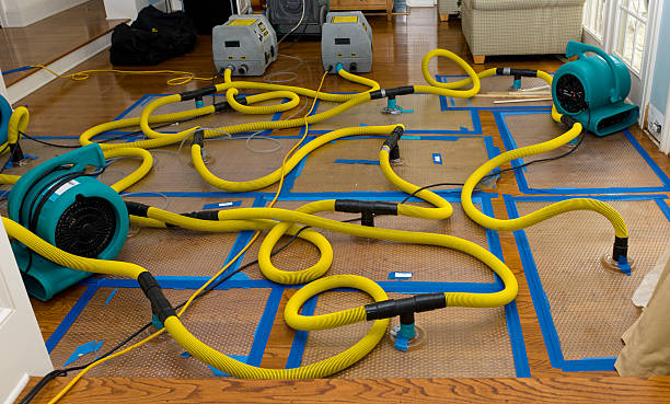Professional Crawl Space Water Removal technician working in Pierson, MI